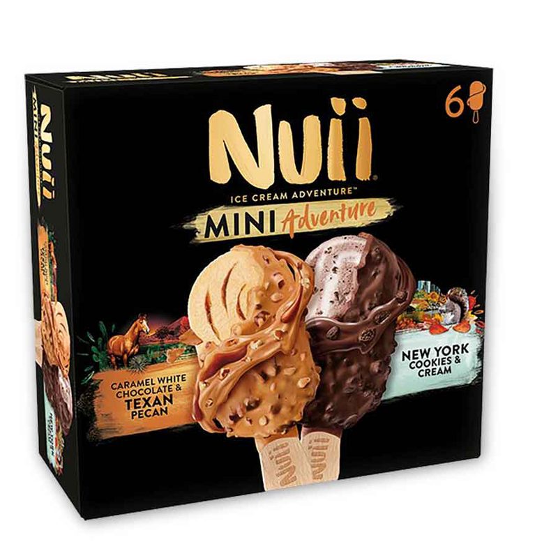 Ice cream adventure New York Cookies & Cream