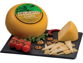 Delicato sir Trapist