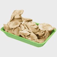 Μανιτάρια Πλευρώτους Ελληνικά 500gr