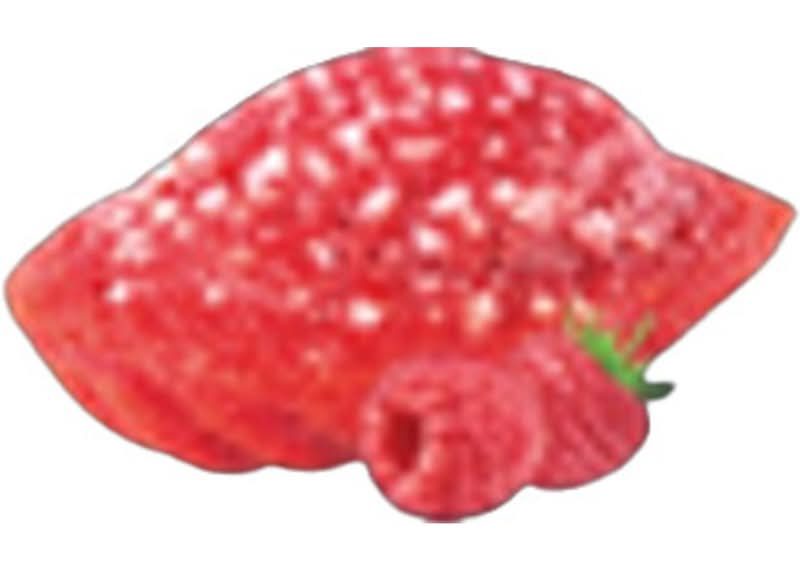 .STMICHEL MADELEINE FRAMB. 45G
