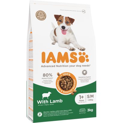 Iams Dog száraz eledel kis és közepes testű felnőtt kutyáknak bárányhússal 3 kg