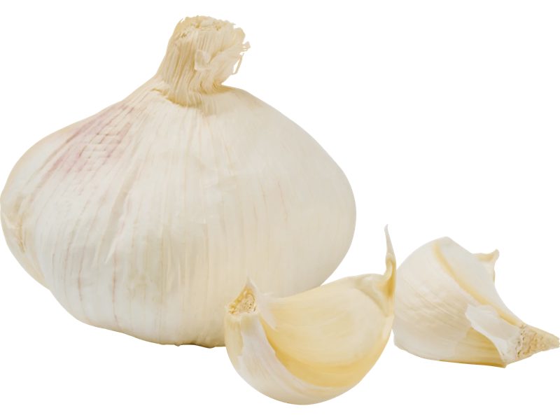 Vitlök