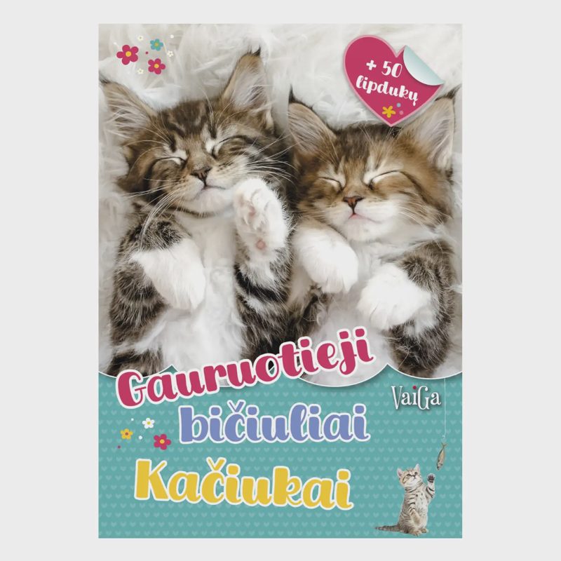 Knyga GAURUOTIEJI BIČIULIAI. KAČIUKAI
