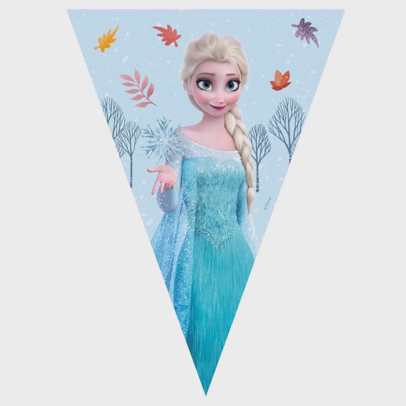 Popierinė vėliavėlė FROZEN FSC