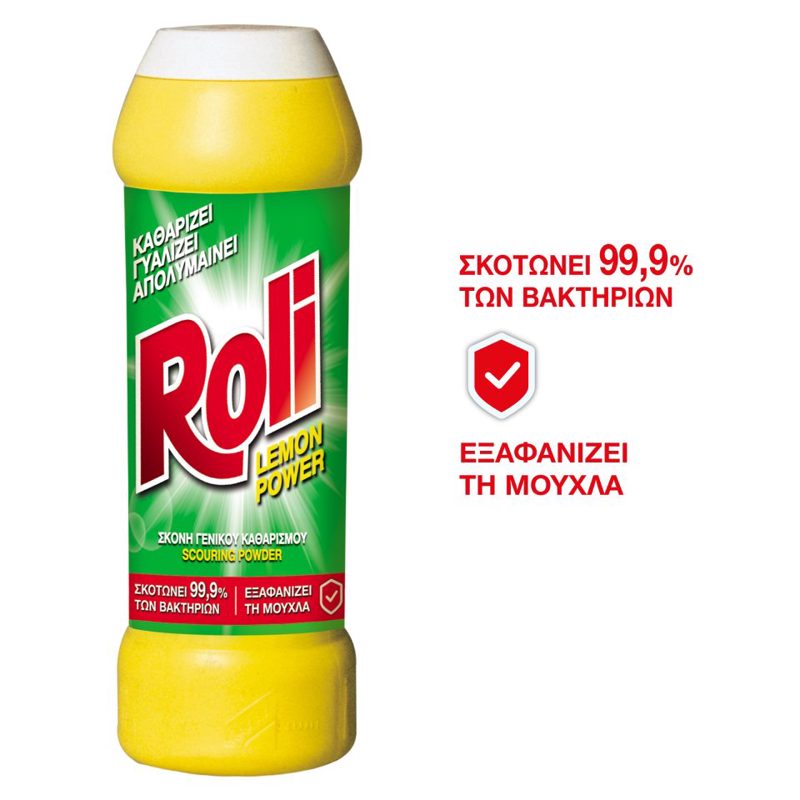 Roli Σκόνη Καθαρισμού Πεύκο 500gr