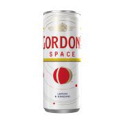 Gordon's Space Kουτί 250ml