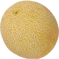 Melone Galia