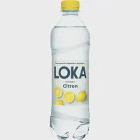 Citron Kolsyrat Vatten Pet
