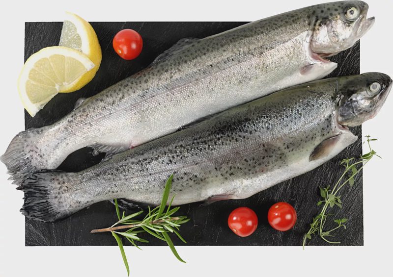 (Oncorhynchus mykiss) celý, chlazený, kuchaný