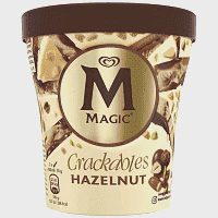 Magic Double Hazelnut Παγωτό 310gr 440ml