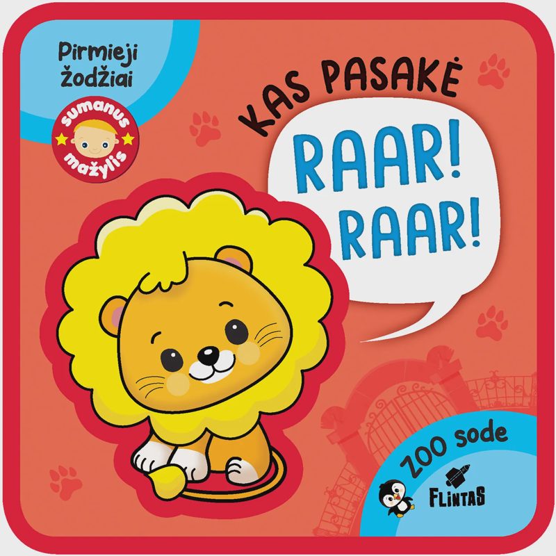 Knyga SUMANUS MAŽYLIS. KAS PASAKĖ BU / RAAR