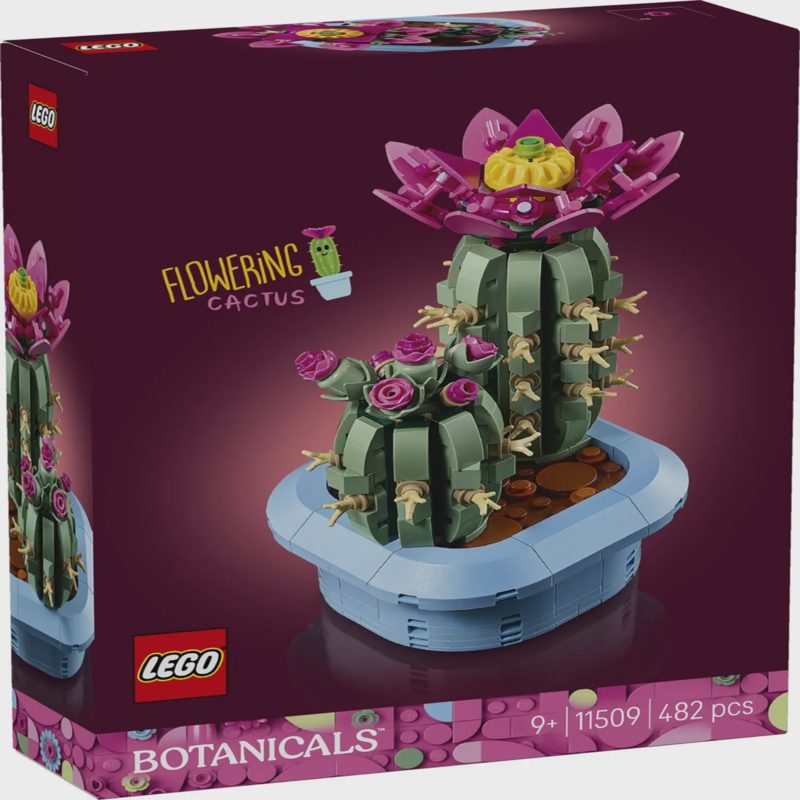 Konstruktorius LEGO Žydintis Kaktusas 11509
