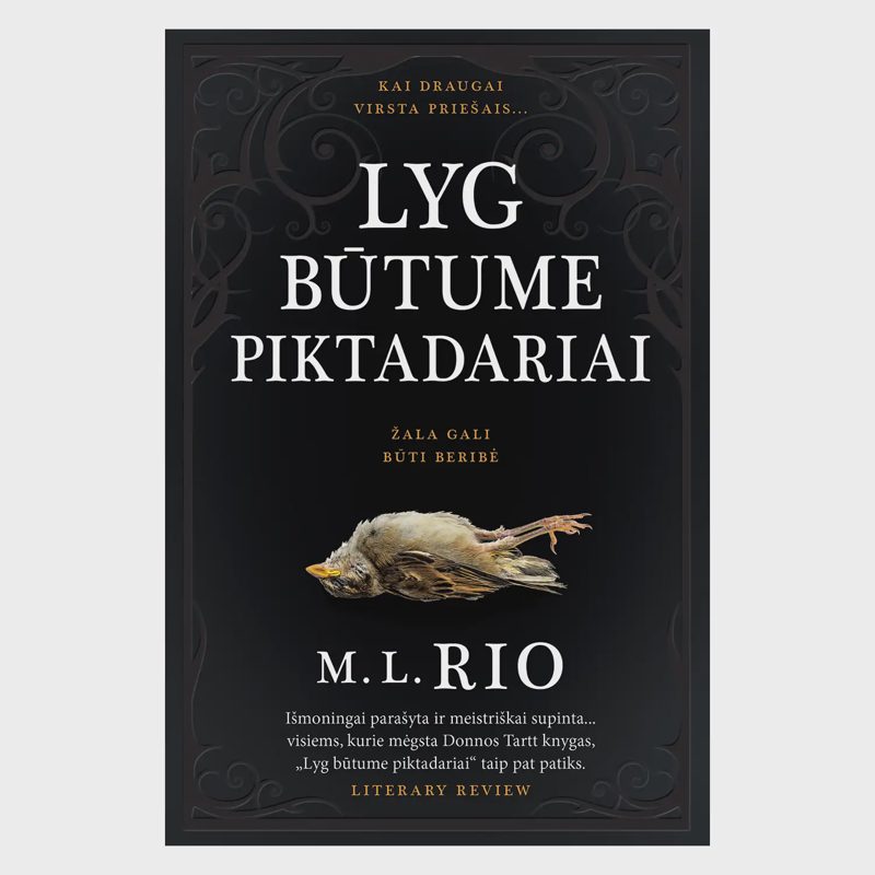Knyga LYG BŪTUME PIKTADARIAI