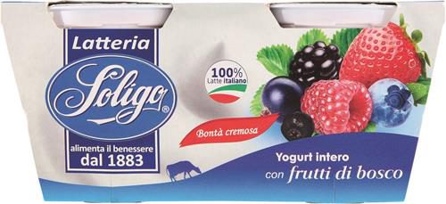 2 YOGURT F.BOSCO SOLIG