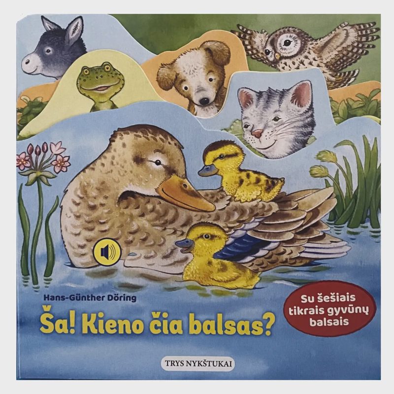 Knyga ŠA. KIENO ČIA BALSAS