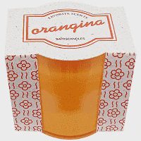 Saitis Κερί Ποτήρι Πλαστικό Σομόν Organgina 180gr