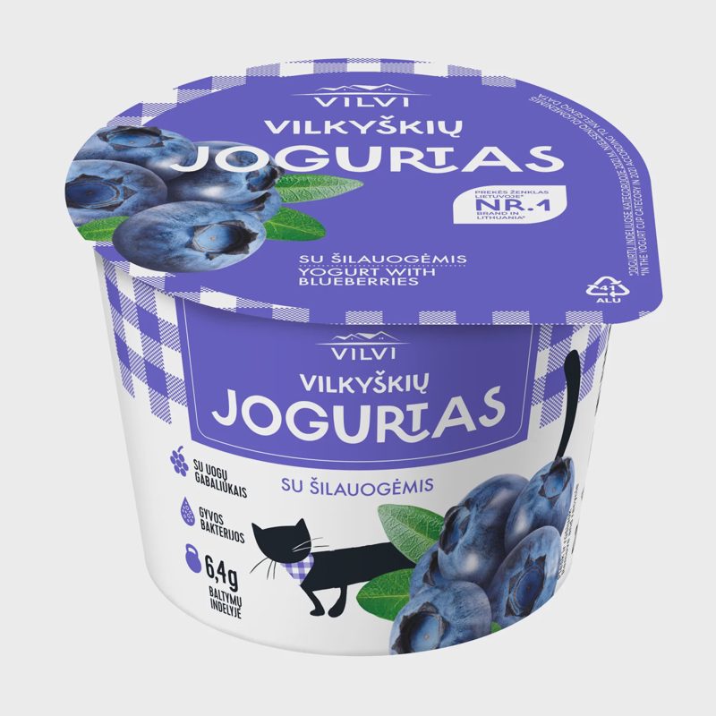 Jogurtas VILVI su šilauog. 3,6 % rieb. 200 g