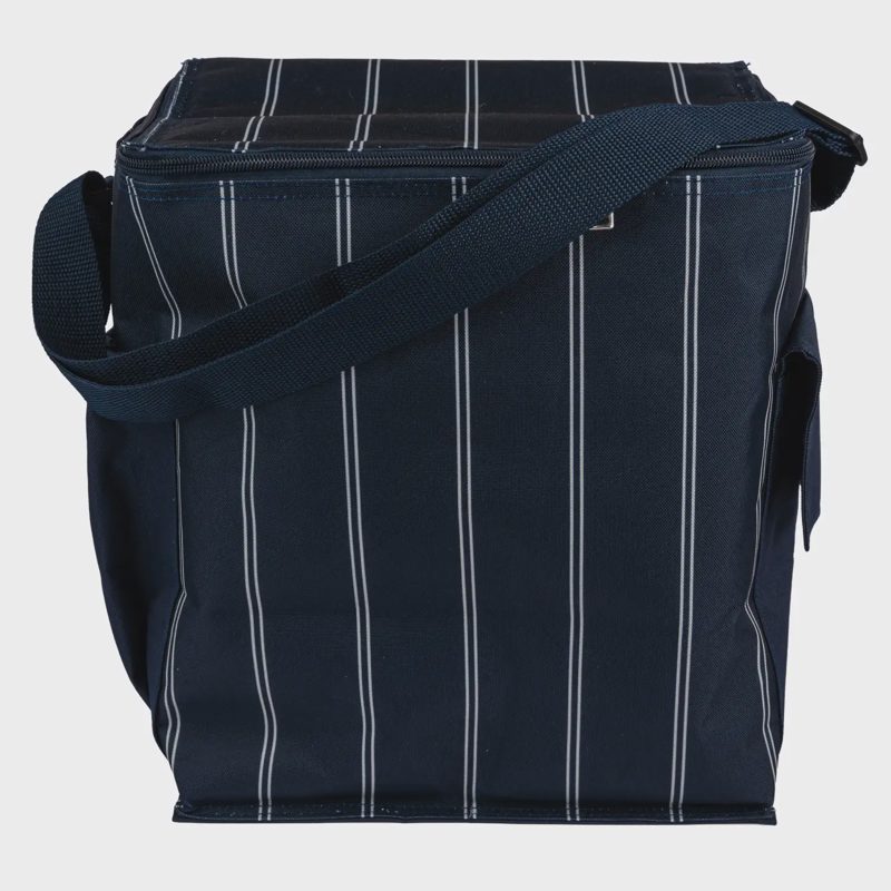 Šaldymo krepšys ICA BRACOLI 14 l, SB26