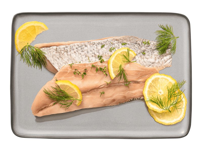 Kanic filet
