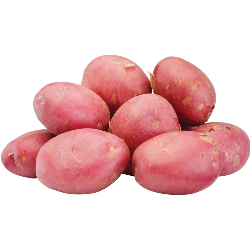 PIROS ÚJBURGONYA