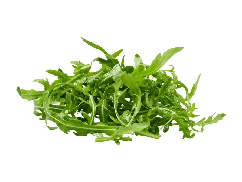 Schweizer Bio Rucola