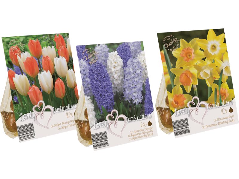 Blomsterlökar mix