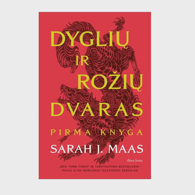 Knyga DYGLIŲ IR ROŽIŲ DVARAS. PIRMA KN.