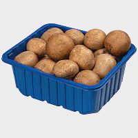 Μανιτάρια Brown Εισαγωγής Συσκευασία 500gr