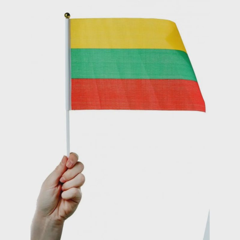 Lietuvos vėliavėlė plastikiniu koteliu