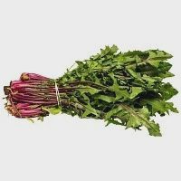 Ραδίκια Ιταλικά Eλληνικής Kαλλιέργειας Τιμή Κιλού