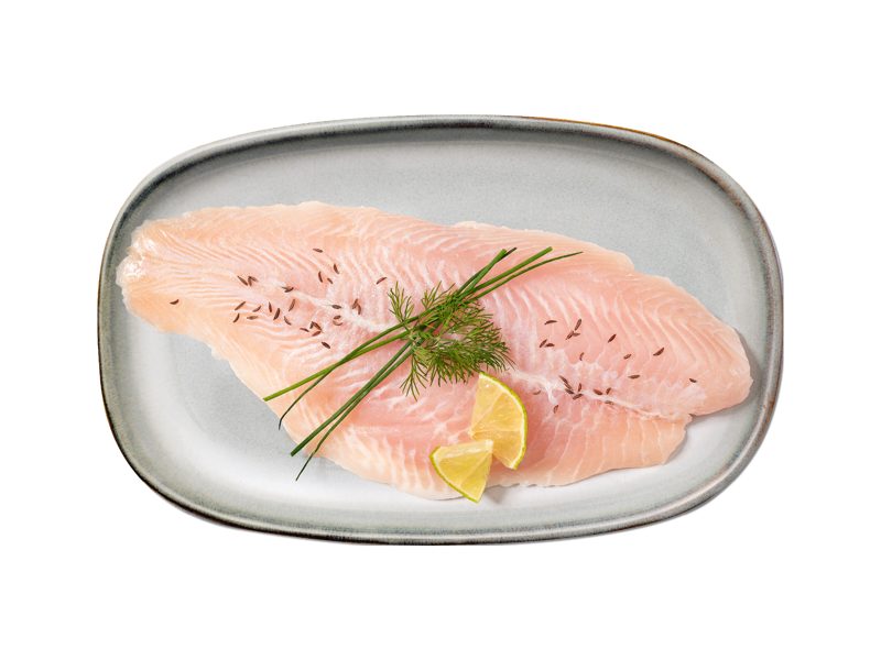 Pangasius