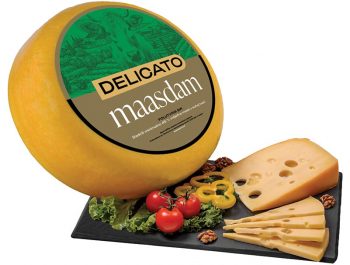 Delicato sir Maasdam