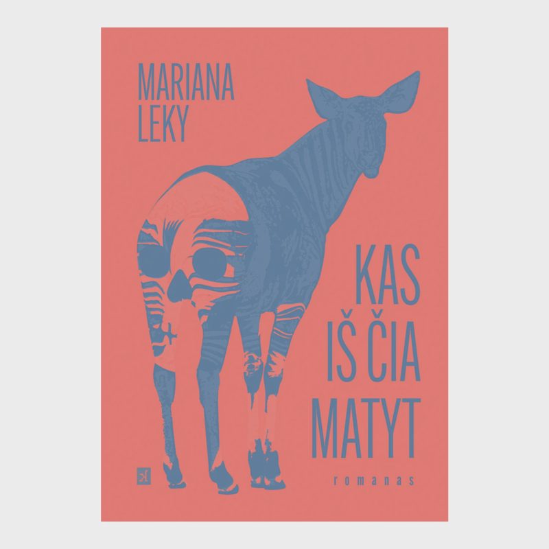 Knyga KAS IŠ ČIA MATYT