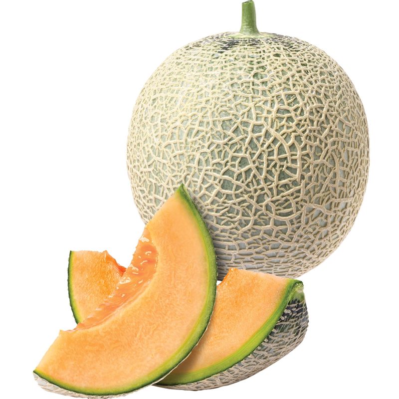 CANTALOUPE DINNYE