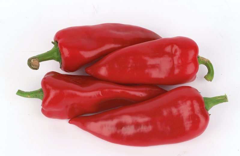 Spitzpaprika rot