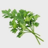 Μαιντανός Ελληνικός Ποιότητα Α΄ 100gr