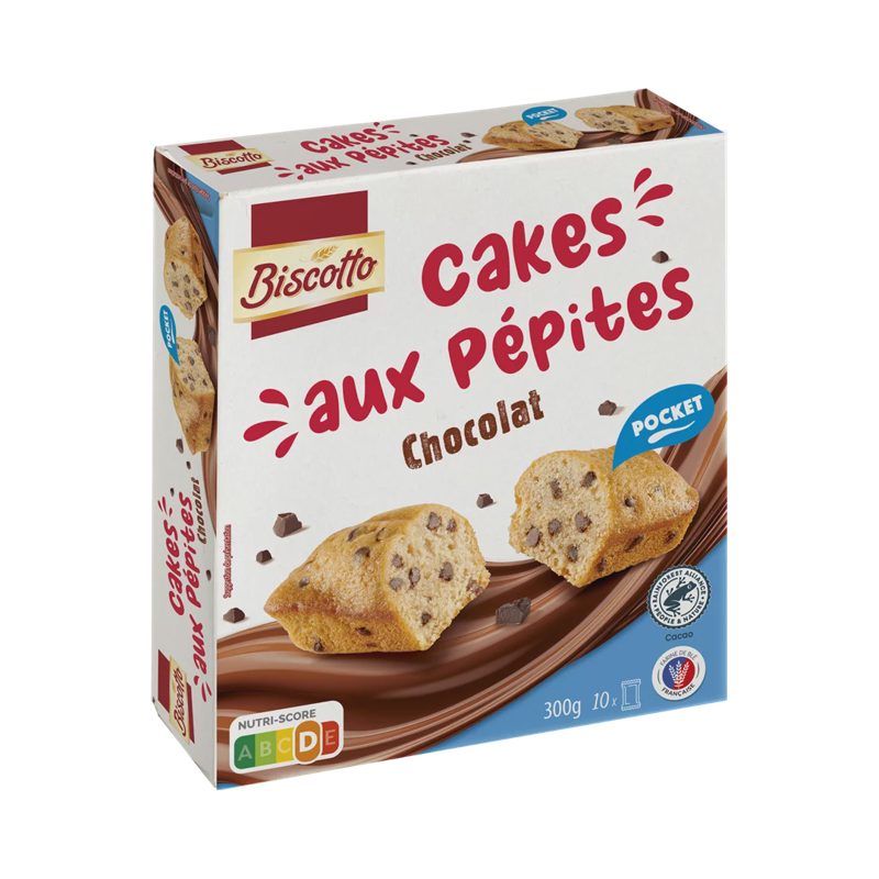 10 MINI CAKES