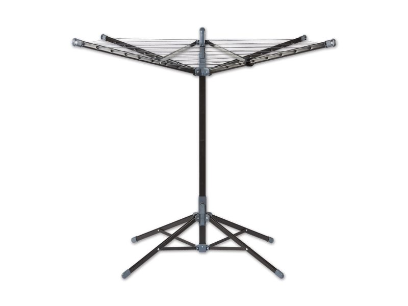 Standwäschespinne