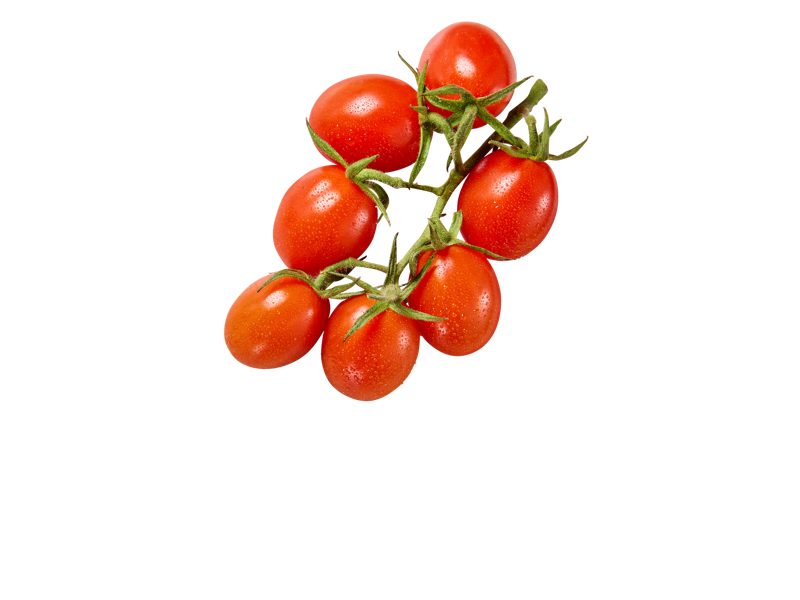 Cherry rajčata keříková koktejlová