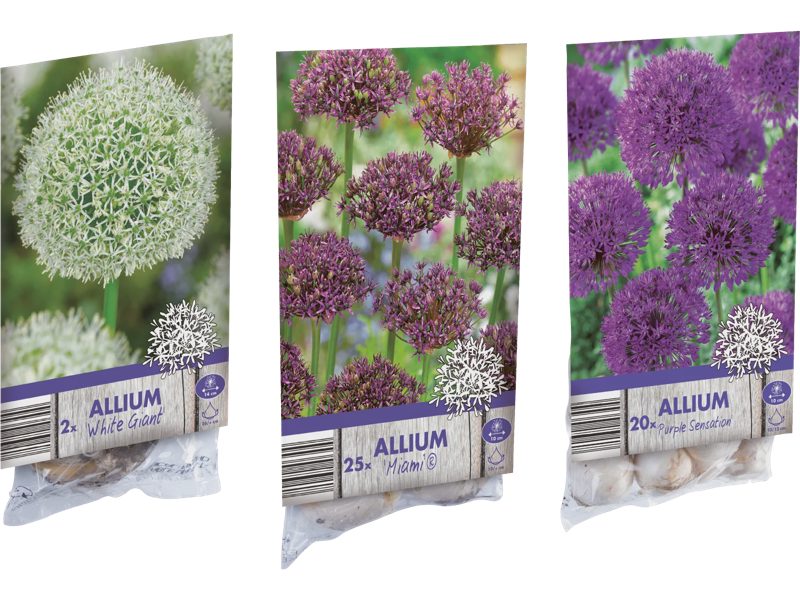 Alliumlökar