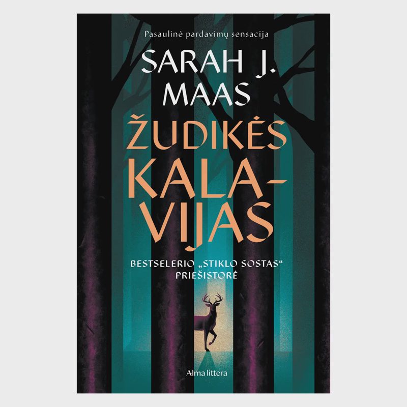 Knyga ŽUDIKĖS KALAVIJAS