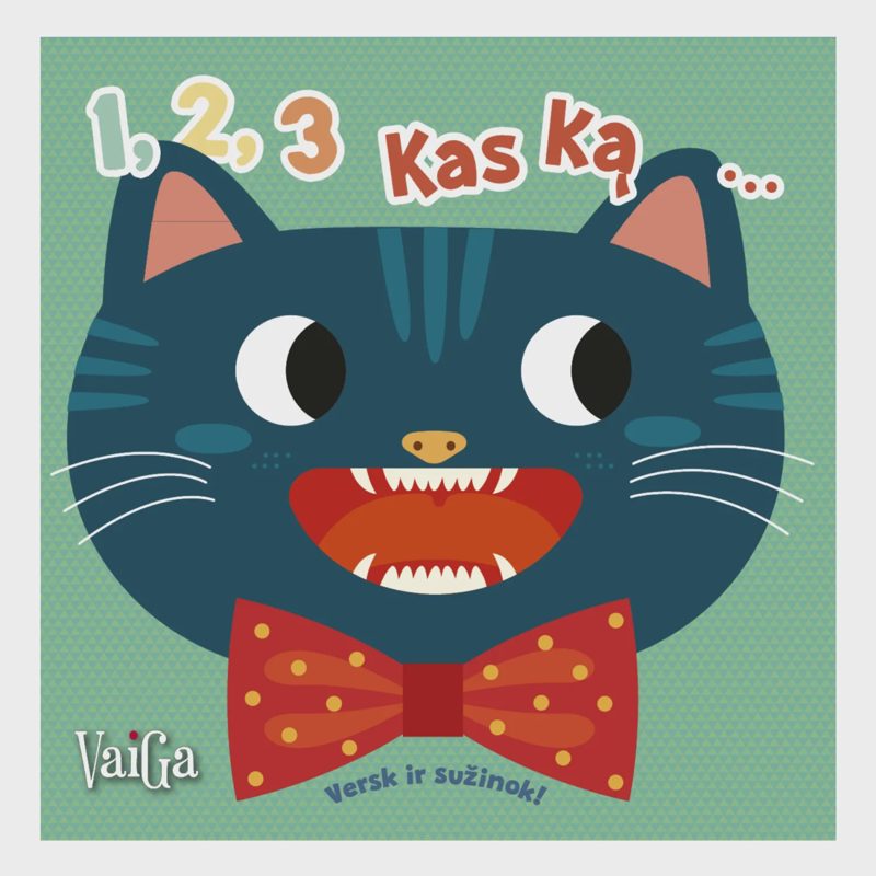 Knyga 1,2,3 KAS KĄ...PRARIS! VERSK IR SUŽINOK