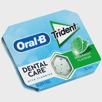 Trident Oral B Δυόσμος 17gr