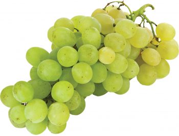 Bijelo grožđe stolno 1 kg