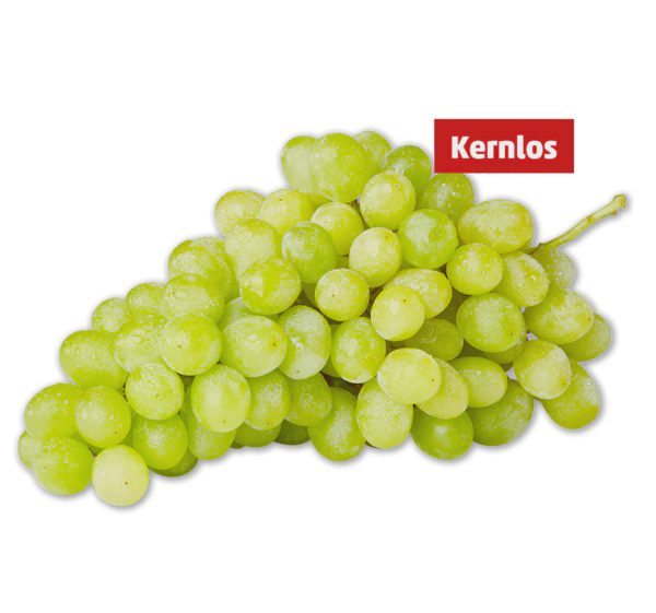 Helle, kernlose Tafeltrauben