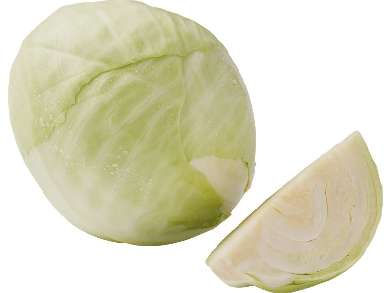 Vitkål