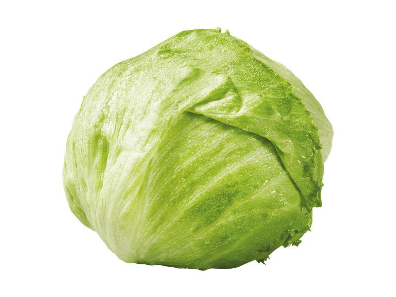Eisbergsalat aus Österreich