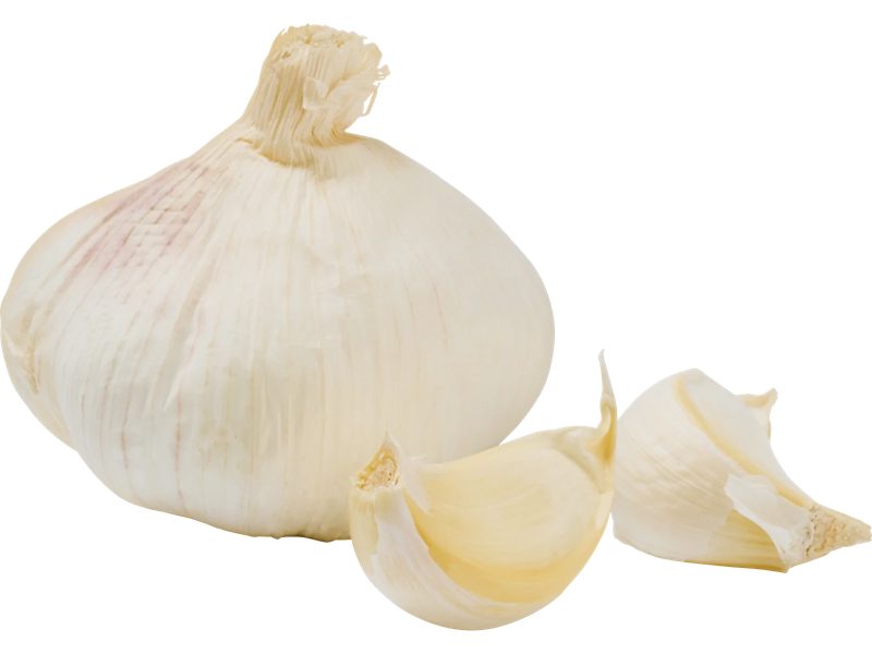 Vitlök