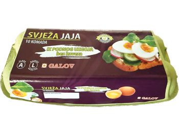 Galov jaja L razred 10/1