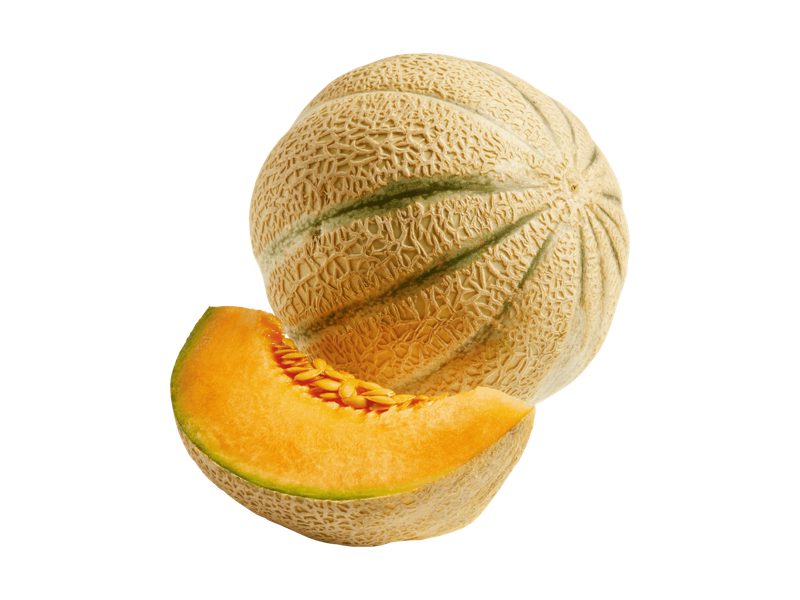 Cantaloupe-Melone